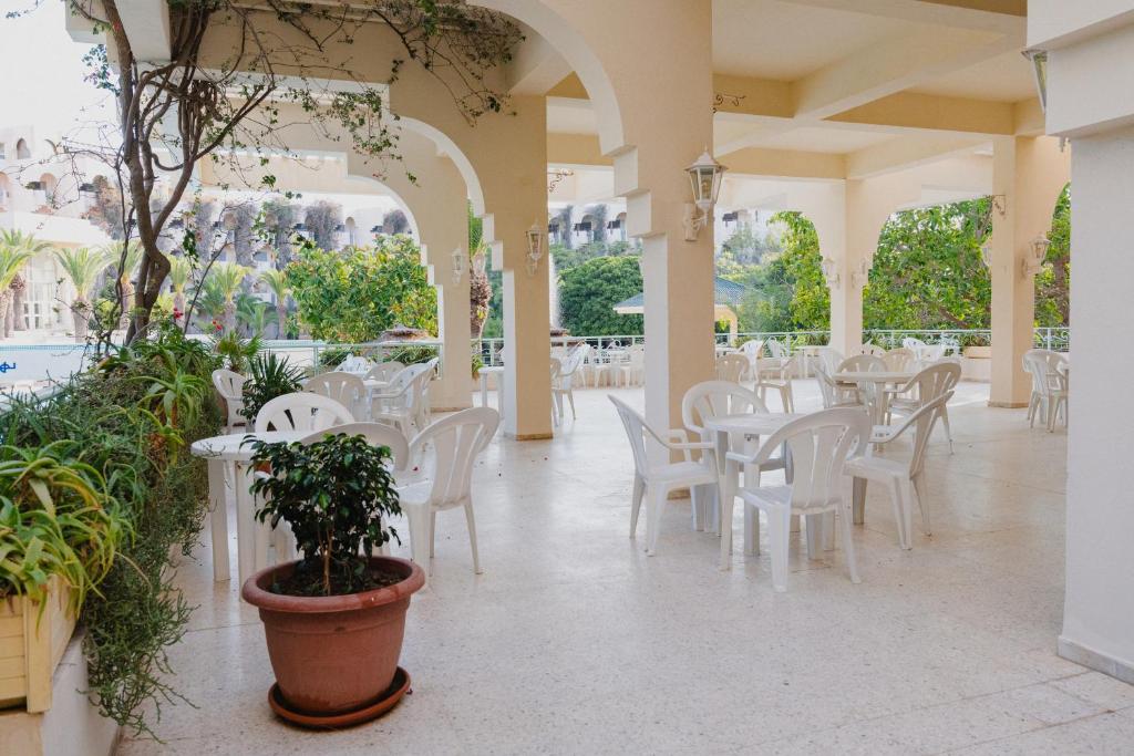 Novostar Nahrawess Hammamet